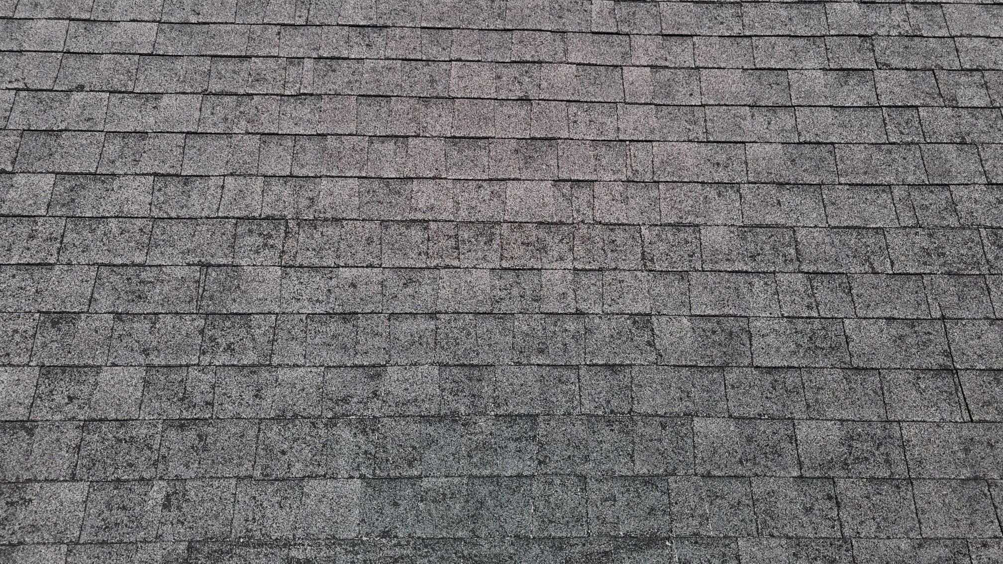 Hail damaged shingles on Greensboro roof